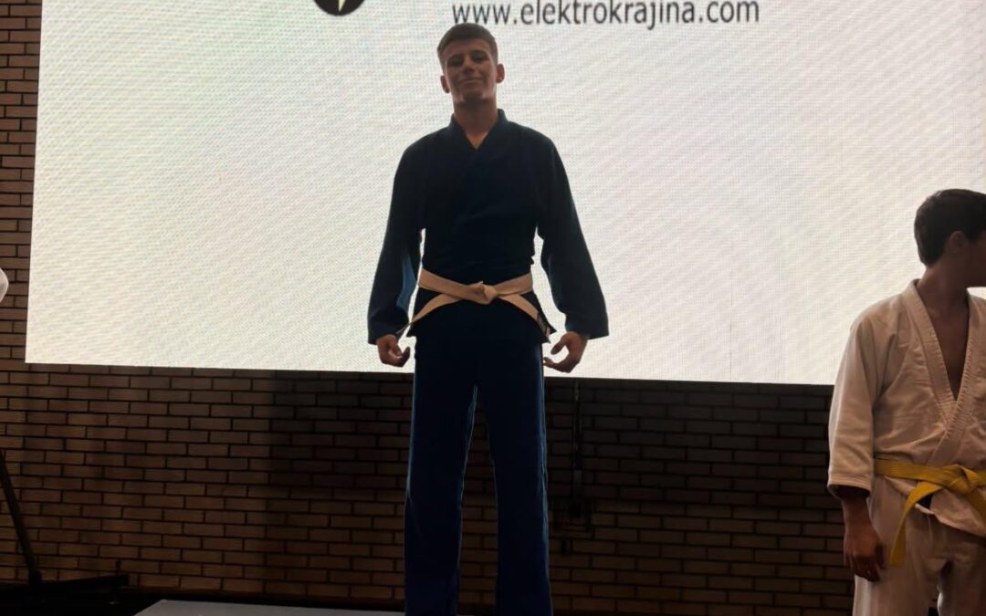 DAVUD MOĆEVIĆ – ZLATNI UČENIK NAŠE ŠKOLE!